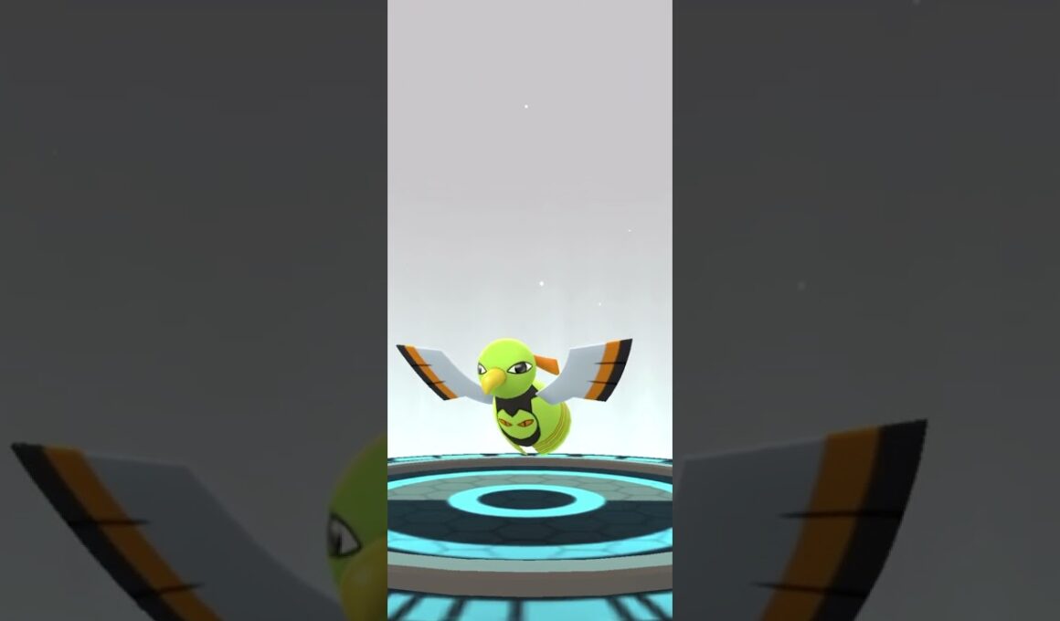 【Pokémon GO】 Shiny Natu → Xatu Evolve 🔥