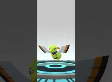 【Pokémon GO】 Shiny Natu → Xatu Evolve 🔥