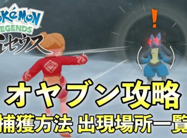 【レジェンズアルセウス】オヤブン捕獲方法/オヤブンポケモン出現場所一覧マップ