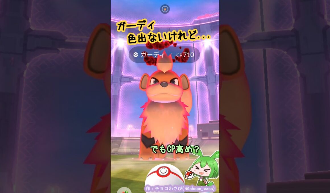 【ポケGO】ガーディ100%GETなのだ！...色違いはどこ？💧