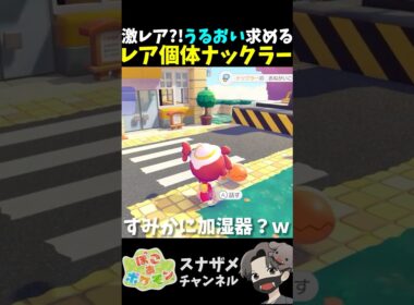 超レア個体？！すみかに「うるおい」求めるナックラーが存在しました【ぽこあポケモン ぽこポケ 初心者向け攻略】 #shorts #ゲーム実況