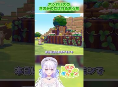 ホシガリスのおうちづくり住める5×5クリエイト【ぽこあポケモン】