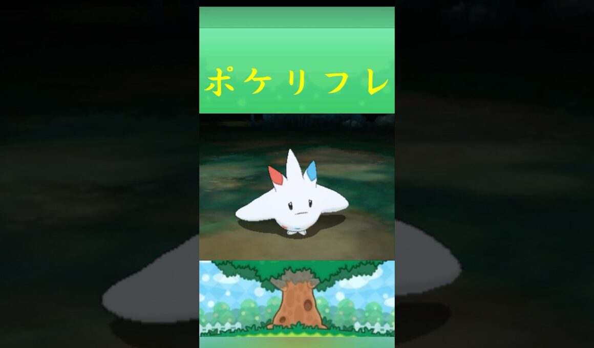 ポケモン トゲキッス ポケリフレ ポケパルレ #ポケモン #Pokemon  #3DS #ポケモン技 #ポケモンsv #ポケモン #ふれあい