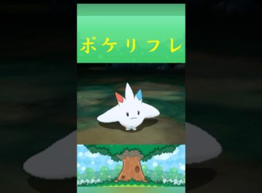 ポケモン トゲキッス ポケリフレ ポケパルレ #ポケモン #Pokemon  #3DS #ポケモン技 #ポケモンsv #ポケモン #ふれあい