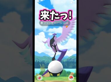 vsガラルフリーザー【ポケモンGO】