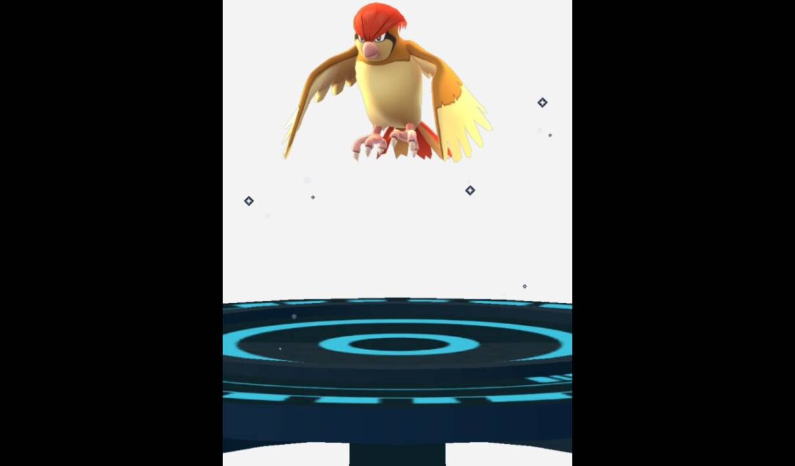 ポケモンGO#06『ポッポシステム～？？？』