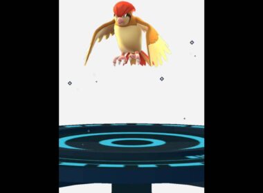 ポケモンGO#06『ポッポシステム～？？？』