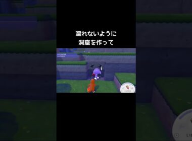 火が消えないよう雨宿りするヒトカゲ【ぽこあポケモン】