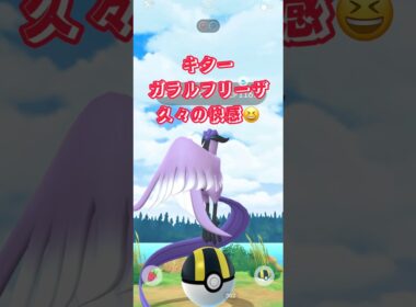 キターガラルフリーザ久々の快感😆#shorts #pokemongo