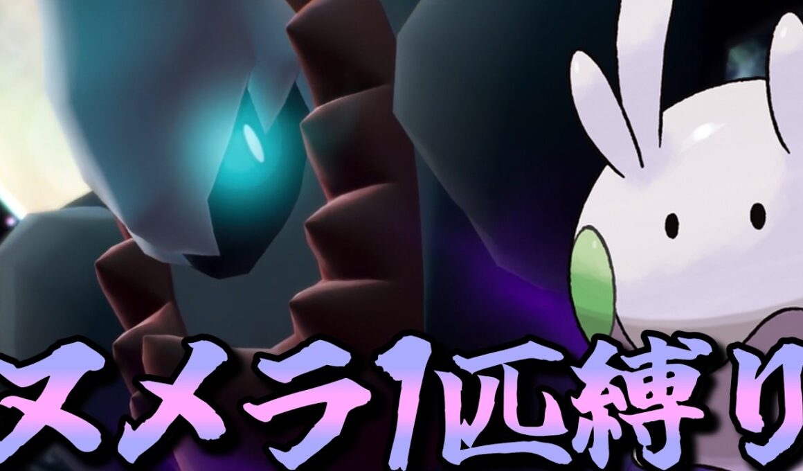 【ポケモンZA】M次元ラッシュをヌメラ１匹でクリアしてみる【ポケモン】【ポケモンレジェンズZA】【M次元ラッシュ】【Switch2】#8