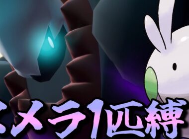 【ポケモンZA】M次元ラッシュをヌメラ１匹でクリアしてみる【ポケモン】【ポケモンレジェンズZA】【M次元ラッシュ】【Switch2】#8