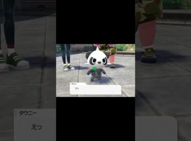 御三家はヤンチャム #ポケモン　 #ポケモンZA