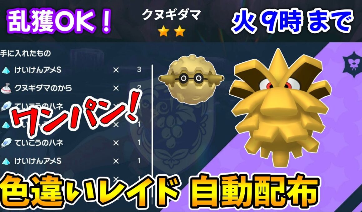 乱獲OK！クヌギダマ色違いレイド自動配布会！【ポケモンSV】