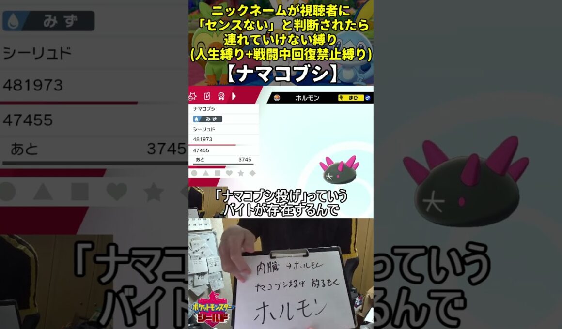 【ポケモン剣盾】ハイセンスニックネーム人生縛り命名集(ナマコブシ)【Twitch配信】