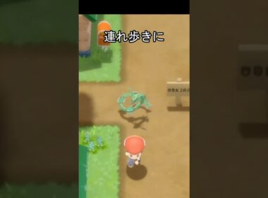 レックウザの連れ歩き　#ポケモン #レックウザ #ポケモンダイパリメイク #ポケモン剣盾