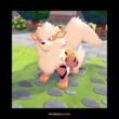 ウインディ🎶🐶 Arcanine  #pokopia  #ぽこあポケモン #ポケモン