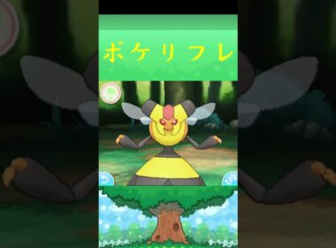 ビークイン*ポケモン ポケリフレ ポケパルレ #ポケモン #Pokemon  #3DS #nintendoswitch #ポケモンsv #ポケモン #キャンプ #サンドイッチ #ピクニック