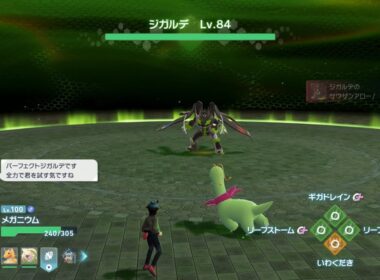 【ポケモンＺＡ】ジガルデ戦やっていきます♪
