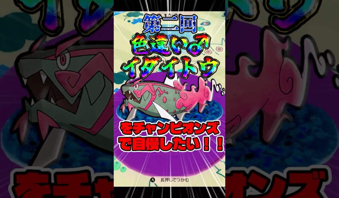 【勝利】色違いイダイトウをポケチャンで自慢したい！！！！！【ゆっくり実況】【ポケモンチャンピオンズ】【色違い厳選】【バスラオ】#shorts