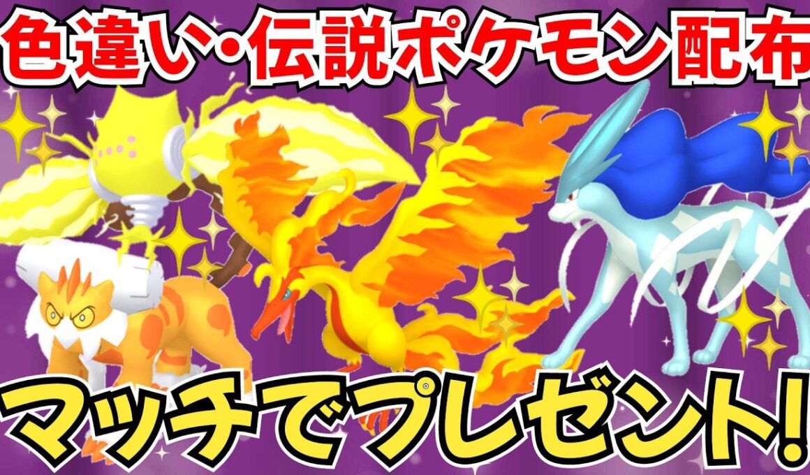 【ポケモンSV】色違いポケモン・伝説ポケモン配布 色ガラルファイヤー 色レジエレキ 色ランドロス 色徒歩コレクレー 色コライドン 色ミライドン などプレゼント #初見歓迎