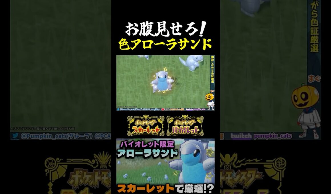 【ポケモンSV】ゲーフリさんの忖度!? 本来バイオレット限定のアローラサンドをスカーレットで色証厳選したら1発で激レア個体にｗ【切り抜き】【色違いポケモン】【色違い厳選】#shorts