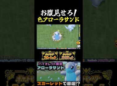 【ポケモンSV】ゲーフリさんの忖度!? 本来バイオレット限定のアローラサンドをスカーレットで色証厳選したら1発で激レア個体にｗ【切り抜き】【色違いポケモン】【色違い厳選】#shorts