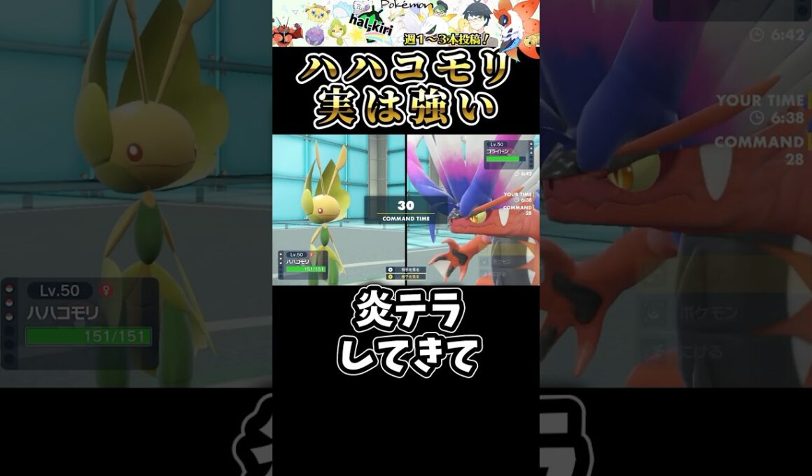 【伝説狩り】この虫ポケはコライドンとハバカミを通しで倒すマジのガチ。。。 #ポケモン #虫統一パ #ポケモンsv #虫統一 #虫タイプ統一 #ランクマ #ハハコモリ
