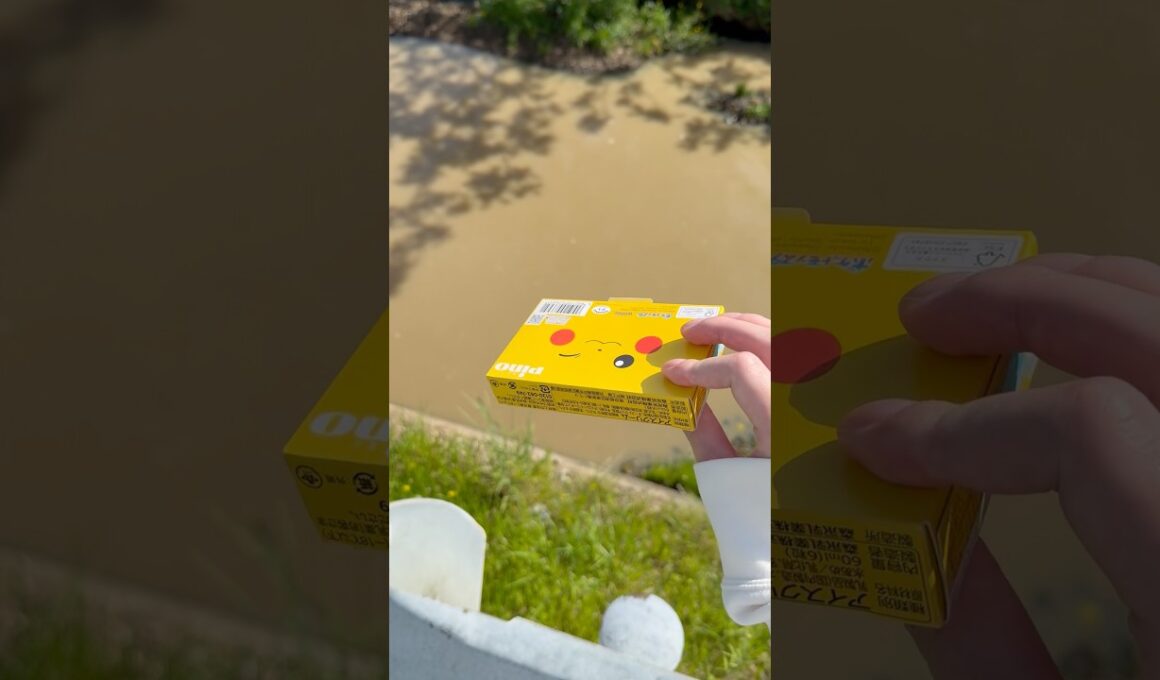アイスの箱を捨ててみたw