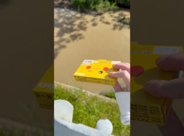 アイスの箱を捨ててみたw