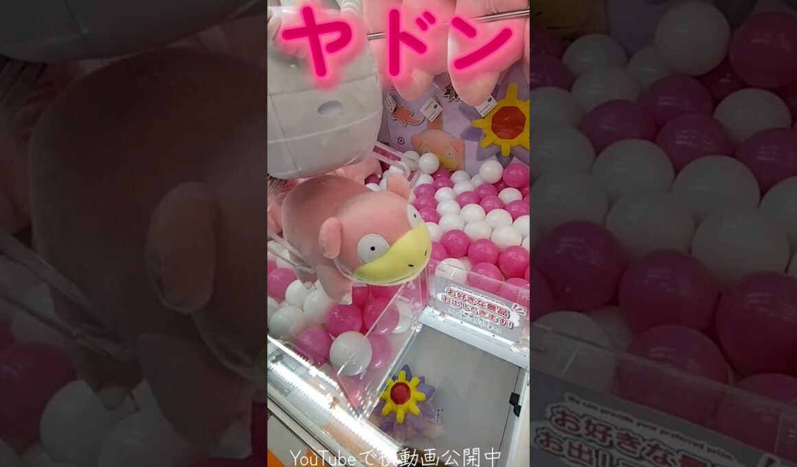 #クレーンゲーム #攻略 #ポケモン #ヤドン #ポケモン30周年