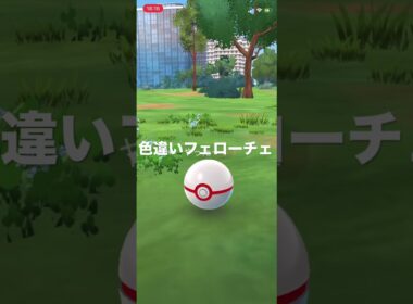 ポケモンGO 色違いフェローチェ出現！ #ポケモン #pokémon