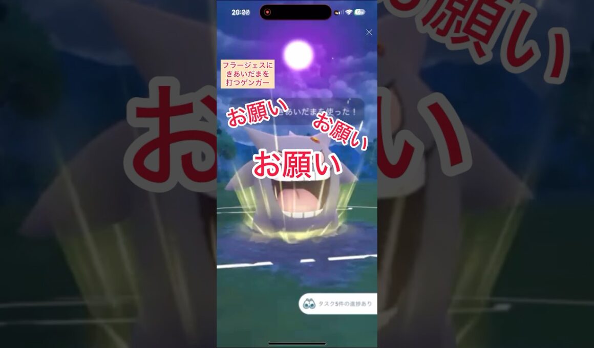 フラージェスにきあいだまを打つゲンガー【ポケモンGO】