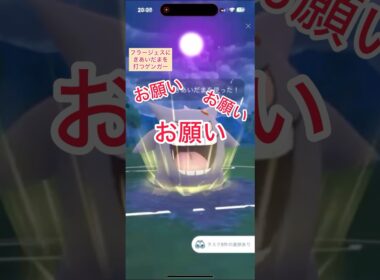 フラージェスにきあいだまを打つゲンガー【ポケモンGO】