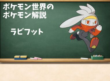 0814 ラビフットと助走の熱、あるいは未完成な自立のフォーム