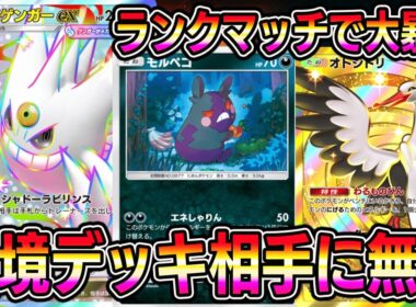【ポケポケ】最強メガゲンガーデッキ！あれ？メガゲンガー環境入りしてね？【Pokémon Trading Card Game Pocket】【ポケポケ メガゲンガーexデッキ】