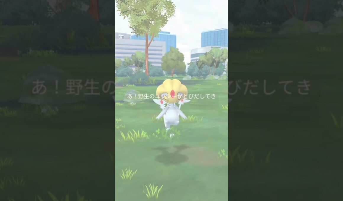 野生のユクシー　 #ポケモンgo #pokemongo