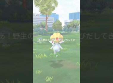 野生のユクシー　 #ポケモンgo #pokemongo
