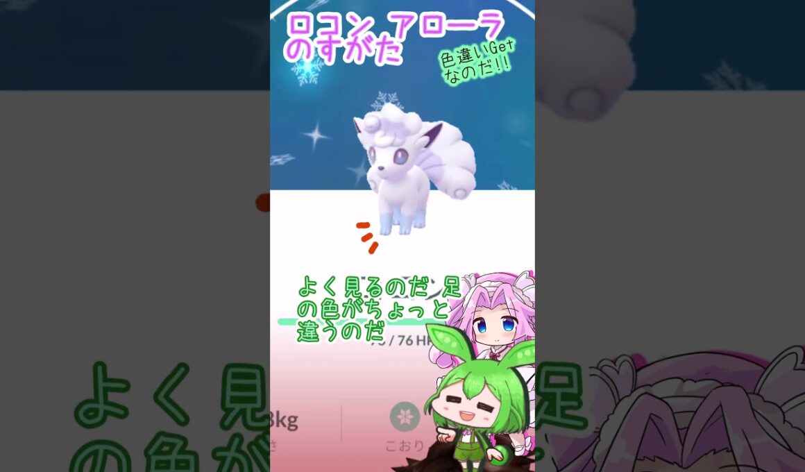 【ポケモンGO】アローラ ロコン 色違い？Getなのだ【Pokémongo】 #shorts #ポケモンgo #pokemongo   #ロコン    #ずんだもん #四国めたん #色違い