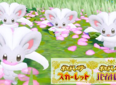 チラチーノ６匹に囲まれて癒されピクニック【ポケモンSV】