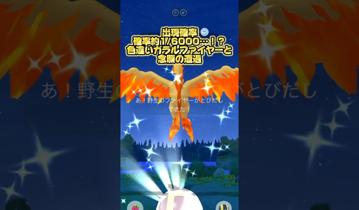 出現確率"約1/6000…！？"色違いガラルファイヤーと念願の遭遇 #ポケモン #ポケモンgo #色違い #ガラルファイヤー