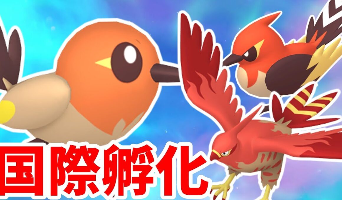 【ポケモンSV】ヤヤコマの色違い狙うよ！【国際孵化】