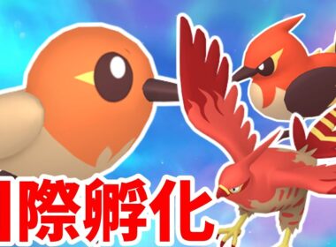 【ポケモンSV】ヤヤコマの色違い狙うよ！【国際孵化】