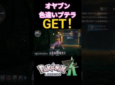 オヤブン色違いプテラGET！！【ポケモンZA】#shorts