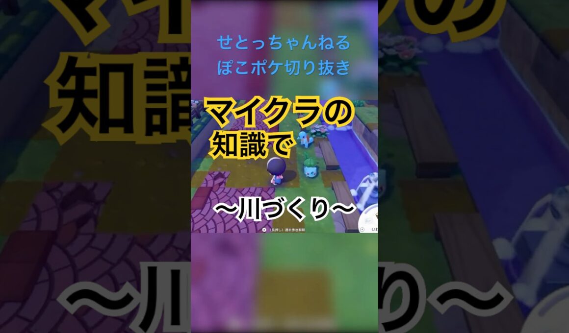 【ぽこあポケモン】ゼニガメ、手伝ってくれない！？（せとっちゃんねるぽこポケ切り抜き）