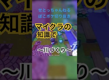 【ぽこあポケモン】ゼニガメ、手伝ってくれない！？（せとっちゃんねるぽこポケ切り抜き）