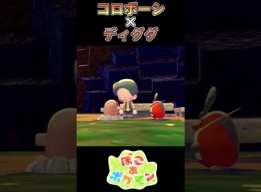 【ぽこあポケモン】 仲良くセッションする二匹【ポケモン】
