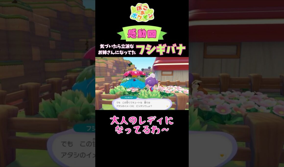 【感動回】ギャルフシギダネが大人になるまで【ぽこあポケモン実況ショート】