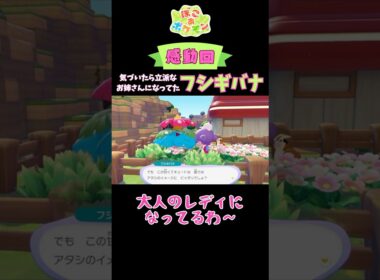 【感動回】ギャルフシギダネが大人になるまで【ぽこあポケモン実況ショート】