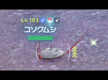 コソクムシ・バリヤード・シルシュルー色違い探し＃76【Pokémon LEGENDS Z-A】