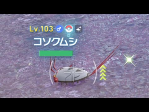 コソクムシ・バリヤード・シルシュルー色違い探し＃76【Pokémon LEGENDS Z-A】